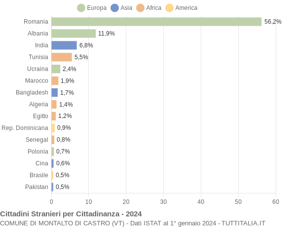 Grafico cittadinanza stranieri - Montalto di Castro 2024