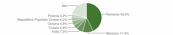 Grafico cittadinanza stranieri - Sermoneta 2011