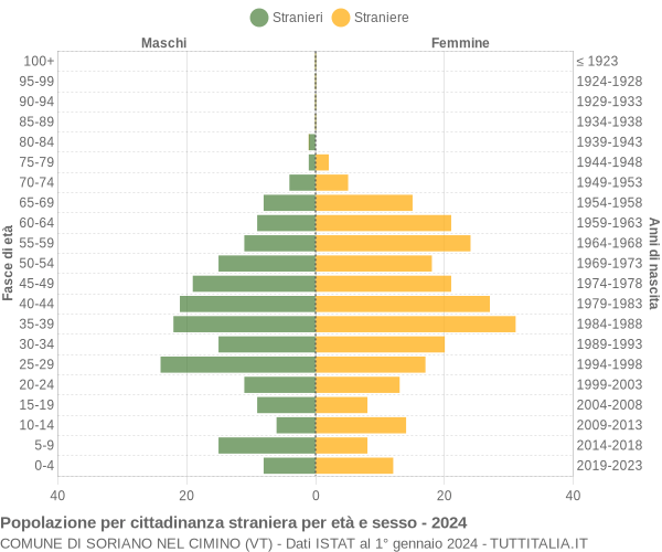 Grafico cittadini stranieri - Soriano nel Cimino 2024