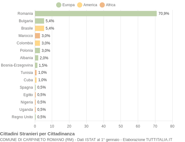 Grafico cittadinanza stranieri - Carpineto Romano 2017