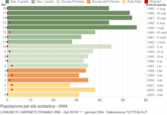 Grafico Popolazione in età scolastica - Carpineto Romano 2004