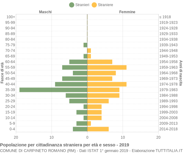 Grafico cittadini stranieri - Carpineto Romano 2019