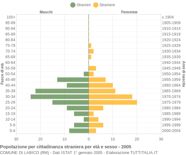 Grafico cittadini stranieri - Labico 2005