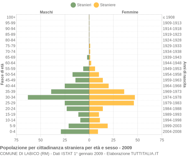 Grafico cittadini stranieri - Labico 2009