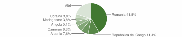 Grafico cittadinanza stranieri - Arsoli 2007