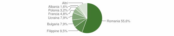 Grafico cittadinanza stranieri - Colfelice 2009
