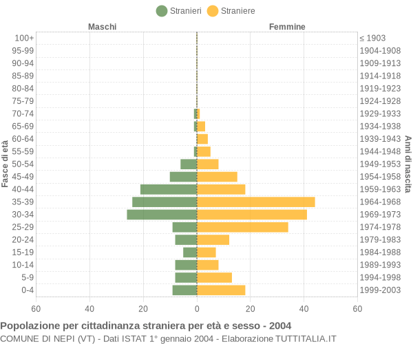 Grafico cittadini stranieri - Nepi 2004