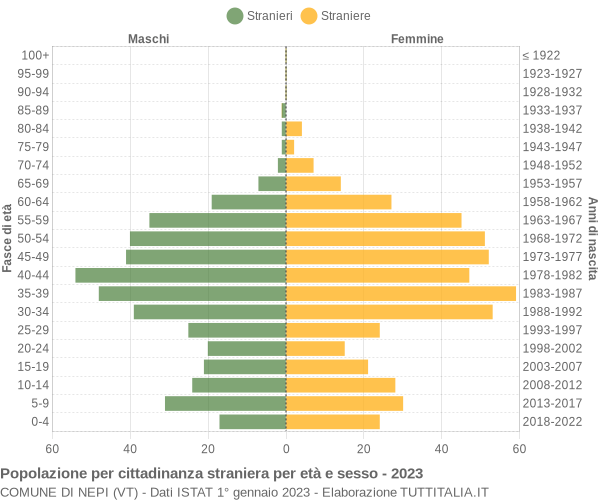 Grafico cittadini stranieri - Nepi 2023