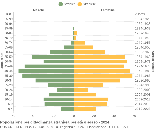 Grafico cittadini stranieri - Nepi 2024