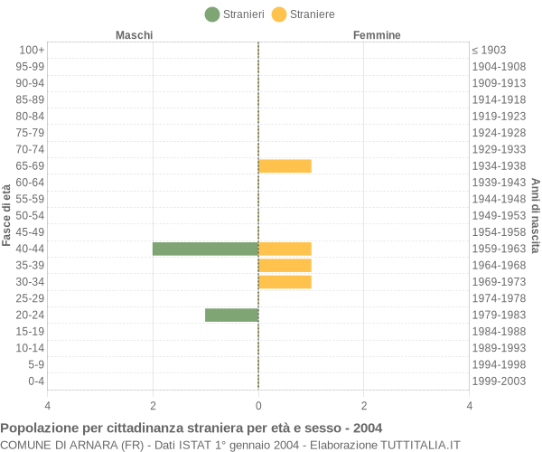 Grafico cittadini stranieri - Arnara 2004