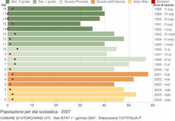 Grafico Popolazione in età scolastica - Vitorchiano 2007