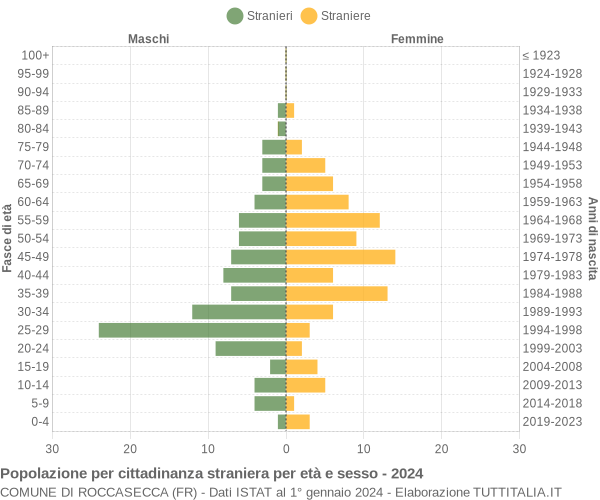 Grafico cittadini stranieri - Roccasecca 2024