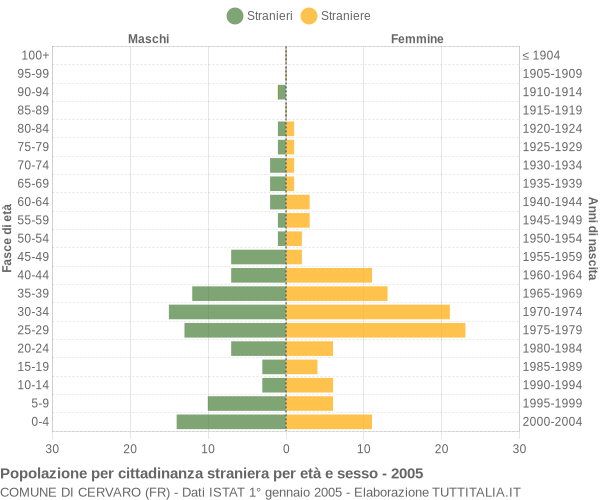 Grafico cittadini stranieri - Cervaro 2005