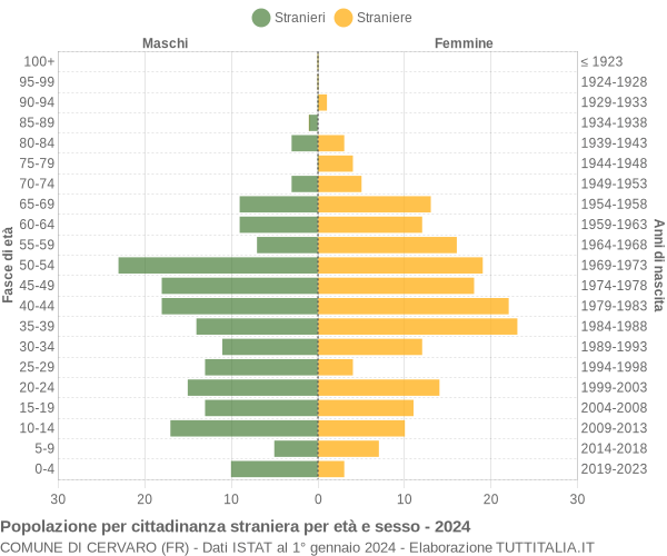 Grafico cittadini stranieri - Cervaro 2024