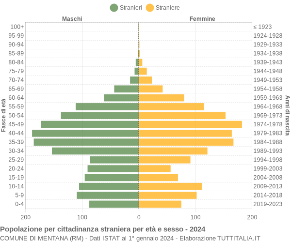 Grafico cittadini stranieri - Mentana 2024