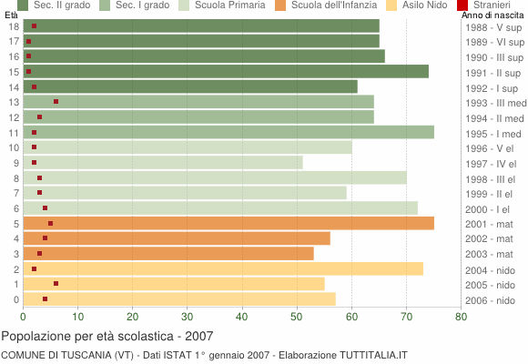 Grafico Popolazione in età scolastica - Tuscania 2007