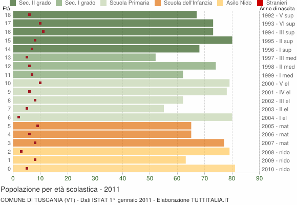 Grafico Popolazione in età scolastica - Tuscania 2011