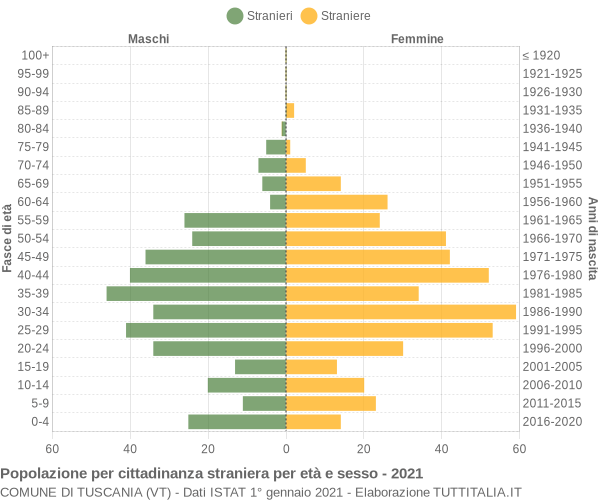 Grafico cittadini stranieri - Tuscania 2021