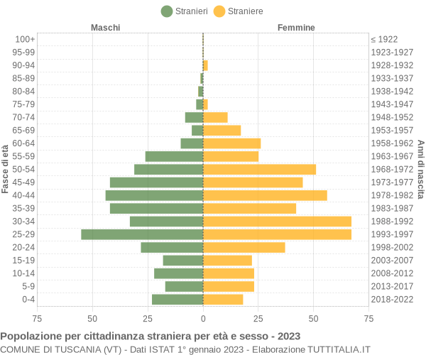 Grafico cittadini stranieri - Tuscania 2023