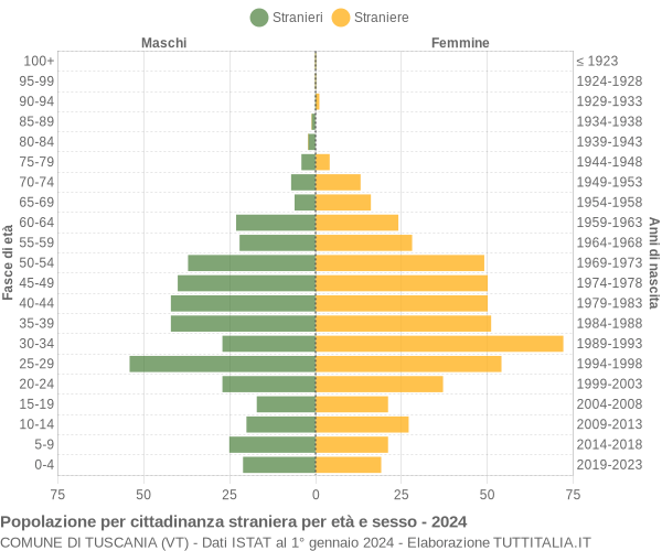 Grafico cittadini stranieri - Tuscania 2024