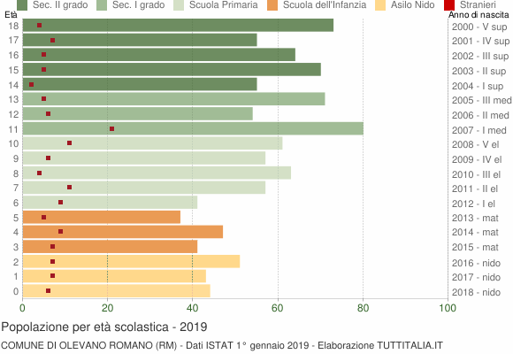 Grafico Popolazione in età scolastica - Olevano Romano 2019