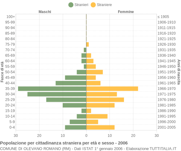 Grafico cittadini stranieri - Olevano Romano 2006