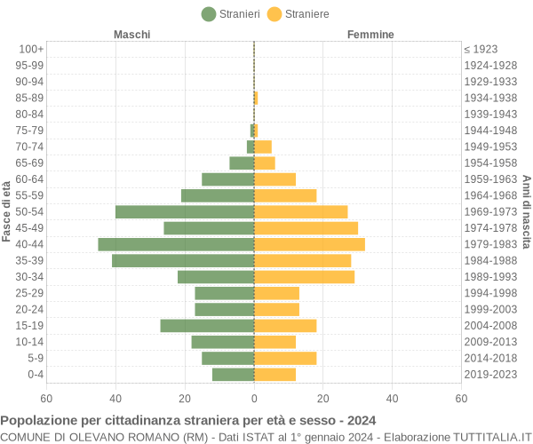 Grafico cittadini stranieri - Olevano Romano 2024