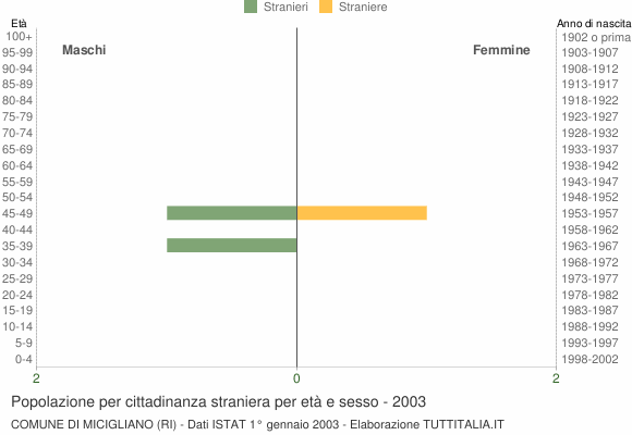 Grafico cittadini stranieri - Micigliano 2003