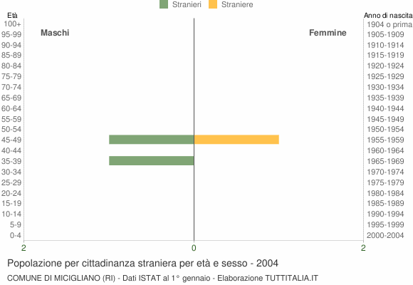 Grafico cittadini stranieri - Micigliano 2004