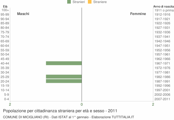 Grafico cittadini stranieri - Micigliano 2011