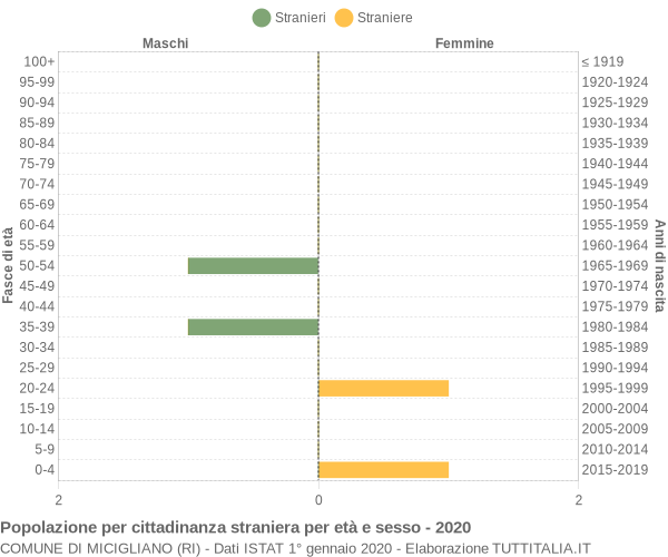 Grafico cittadini stranieri - Micigliano 2020