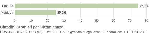 Grafico cittadinanza stranieri - Nespolo 2005