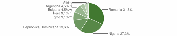 Grafico cittadinanza stranieri - Affile 2007