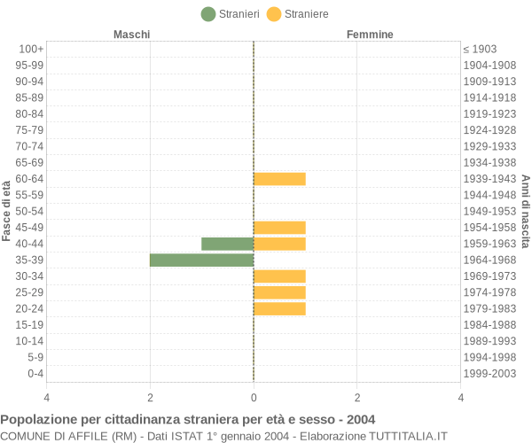 Grafico cittadini stranieri - Affile 2004