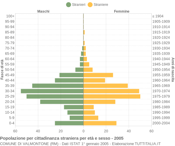 Grafico cittadini stranieri - Valmontone 2005