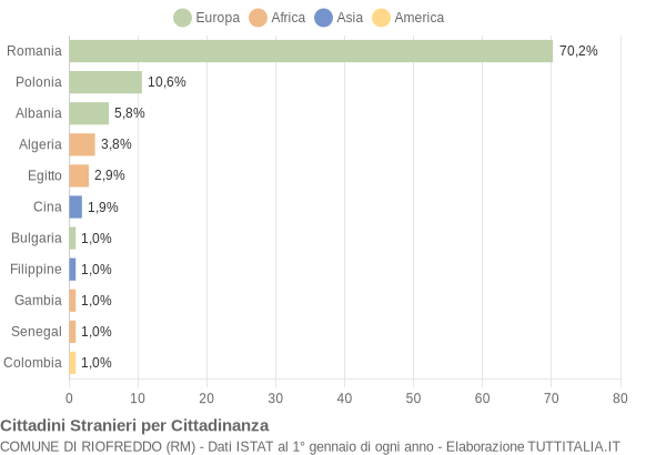 Grafico cittadinanza stranieri - Riofreddo 2019