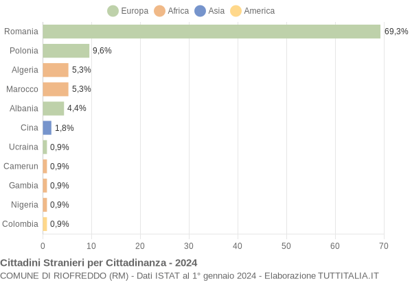 Grafico cittadinanza stranieri - Riofreddo 2024