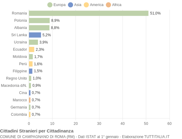 Grafico cittadinanza stranieri - Campagnano di Roma 2019