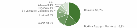 Grafico cittadinanza stranieri - Orvinio 2013