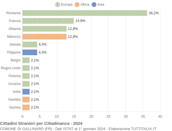 Grafico cittadinanza stranieri - Gallinaro 2024