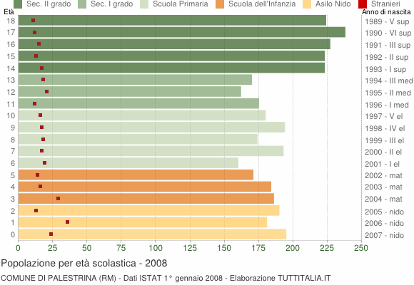 Grafico Popolazione in età scolastica - Palestrina 2008