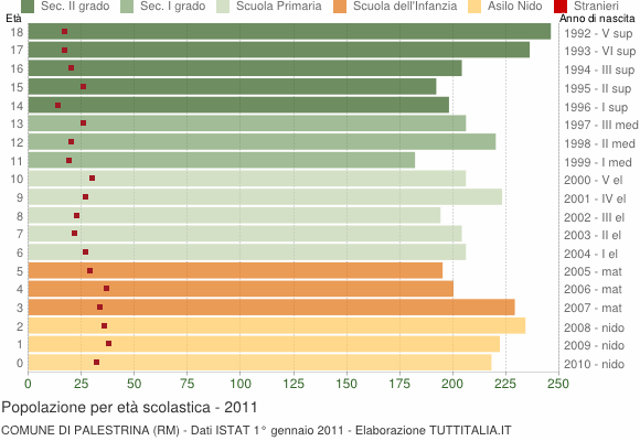 Grafico Popolazione in età scolastica - Palestrina 2011