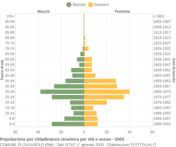 Grafico cittadini stranieri - Zagarolo 2003