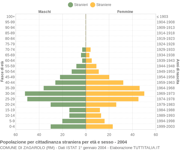 Grafico cittadini stranieri - Zagarolo 2004