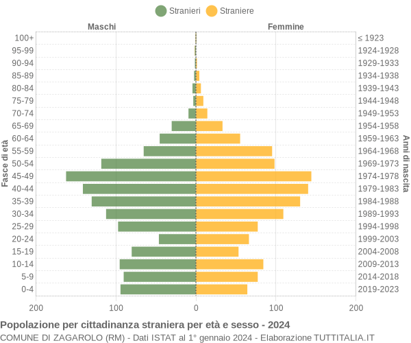 Grafico cittadini stranieri - Zagarolo 2024