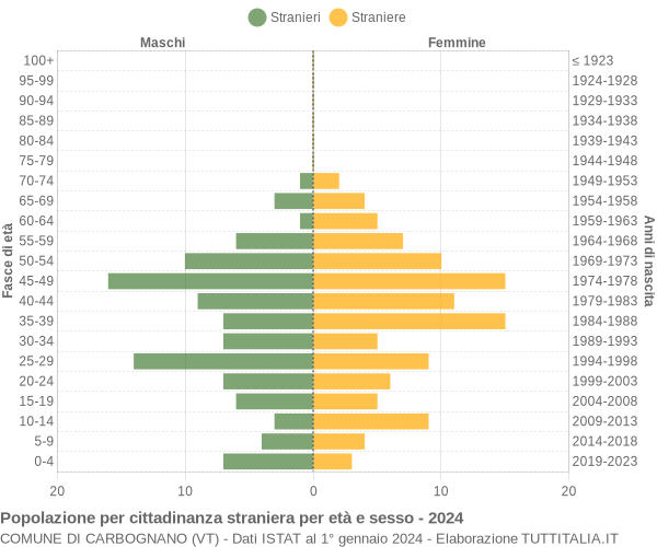 Grafico cittadini stranieri - Carbognano 2024