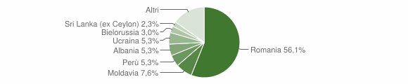 Grafico cittadinanza stranieri - Piglio 2011