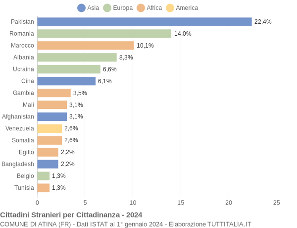 Grafico cittadinanza stranieri - Atina 2024