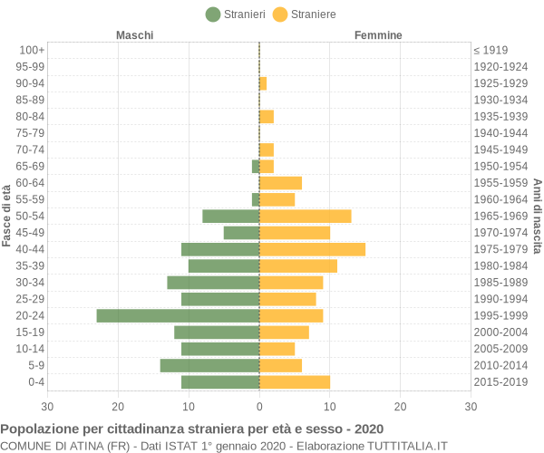 Grafico cittadini stranieri - Atina 2020