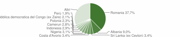 Grafico cittadinanza stranieri - Orte 2008